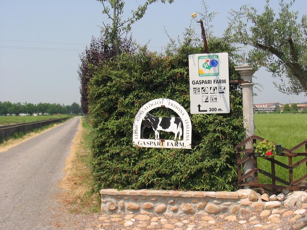 Agriturismo Gaspari Farm Volta Mantovana Exterior foto